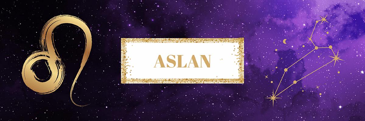 Aslan Burcu